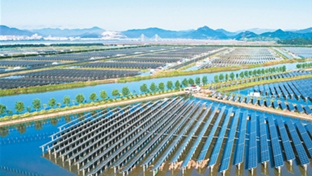 China's marine economy shows strong growth momentum